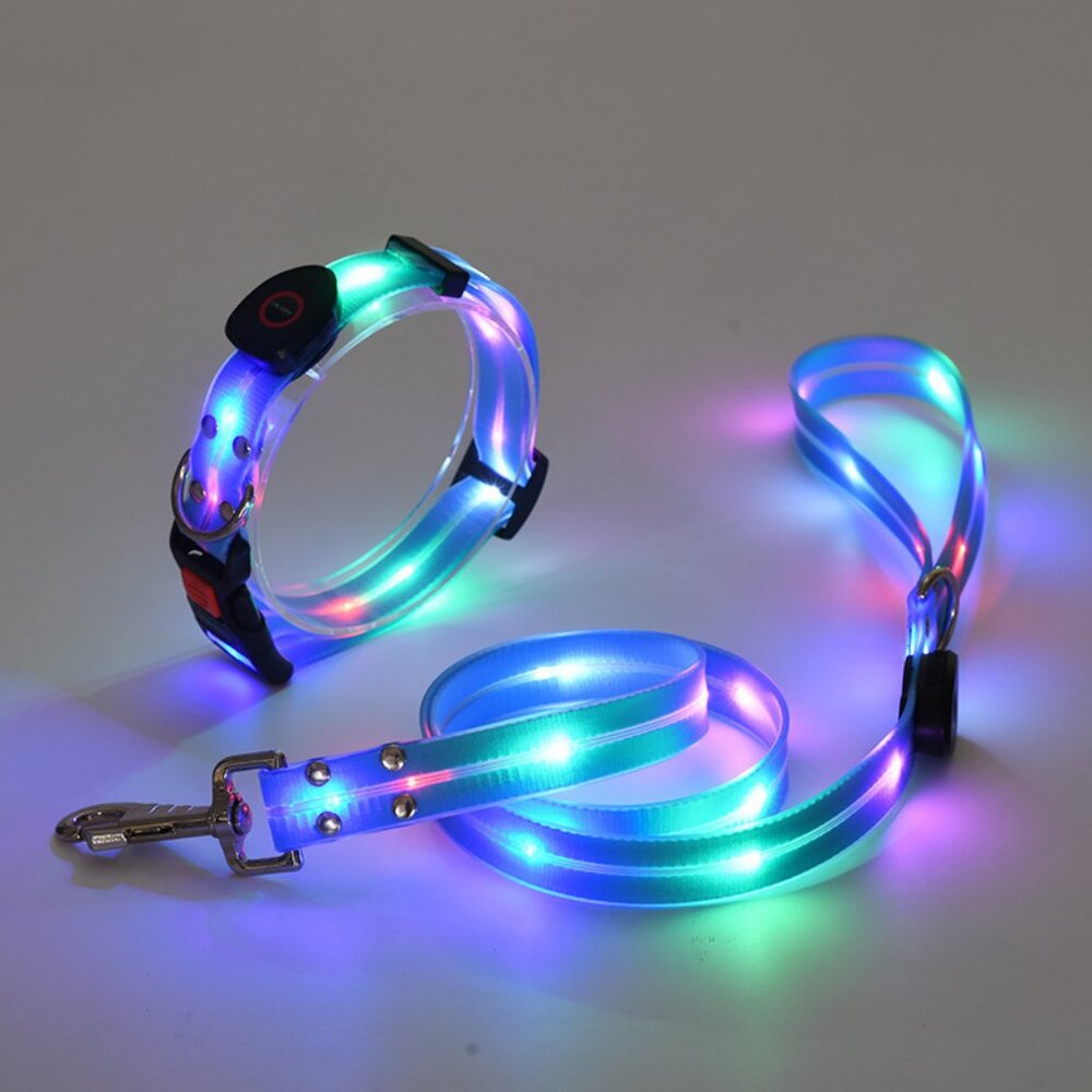 LED Collar and Leash Set - 4pc